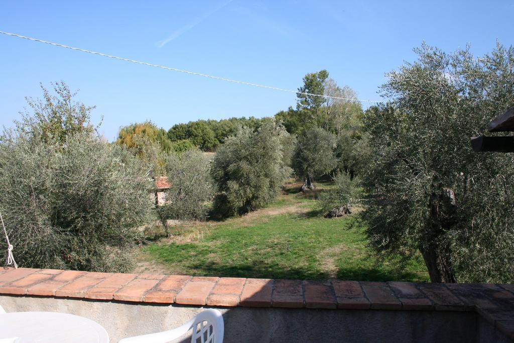 Antico Casale Pozzuolo Villa Seggiano Szoba fotó