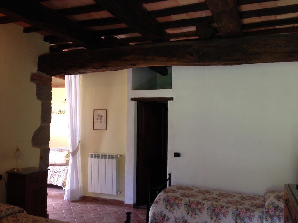 Antico Casale Pozzuolo Villa Seggiano Szoba fotó